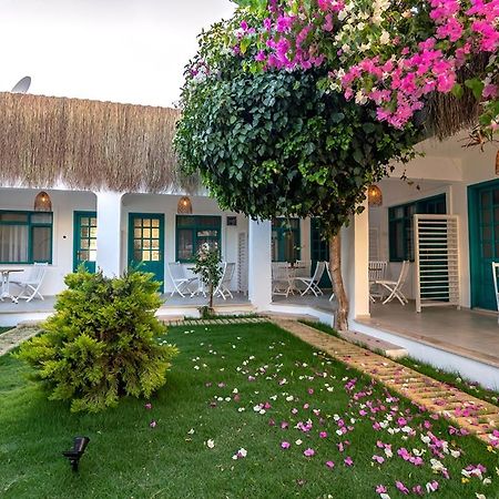 Avlu Otel Datça Kültér fotó